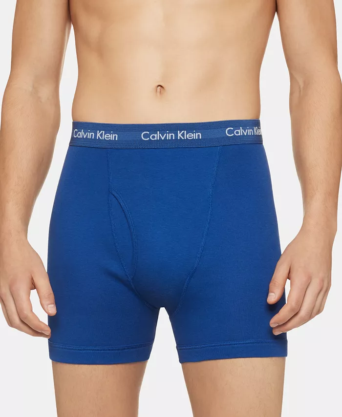 Мужские классические трусы-боксеры из хлопка, 5 штук Calvin Klein, мультиколор — фото 2