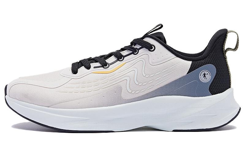 

Кроссовки мужские с низким верхом, черный/серебряный Qiaodan