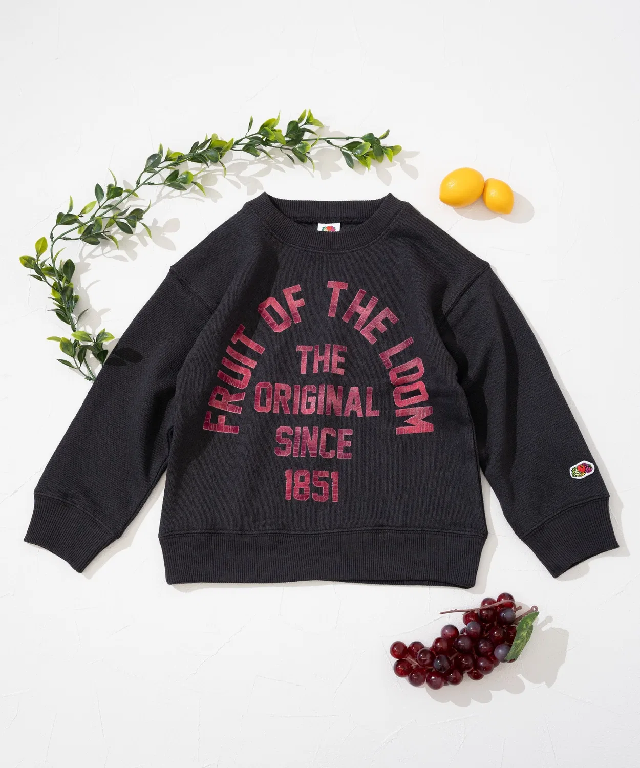 Свитшот детский с логотипом Fruit of the Loom, хлопок, чёрный — фото 2