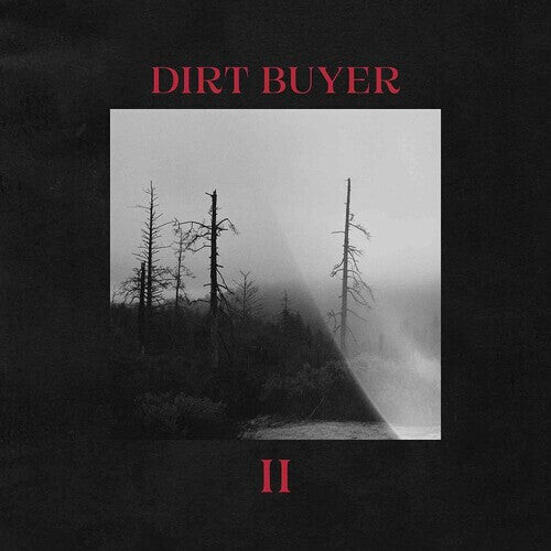 

CD диск Dirt Buyer: Dirt Buyer Ii