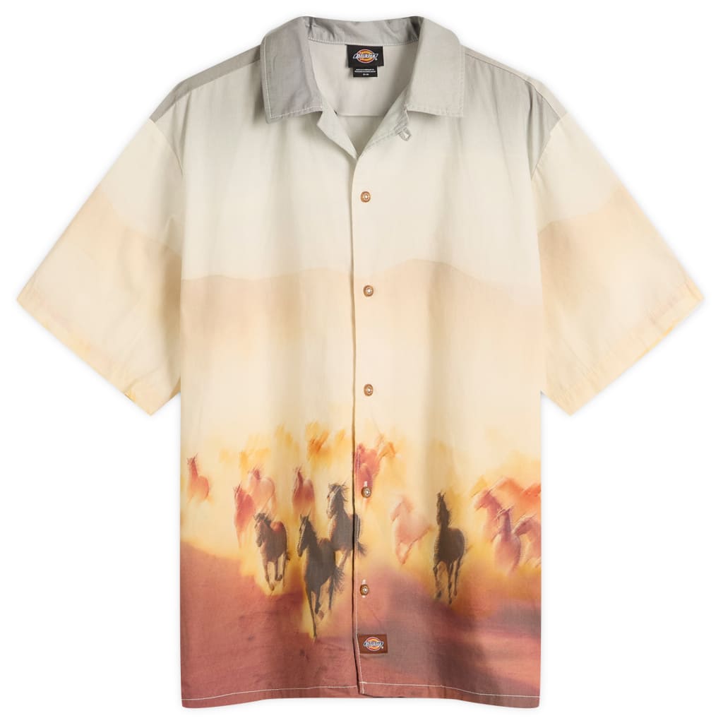 

Футболка Running Wild Vacation Dickies, цвет oak buff