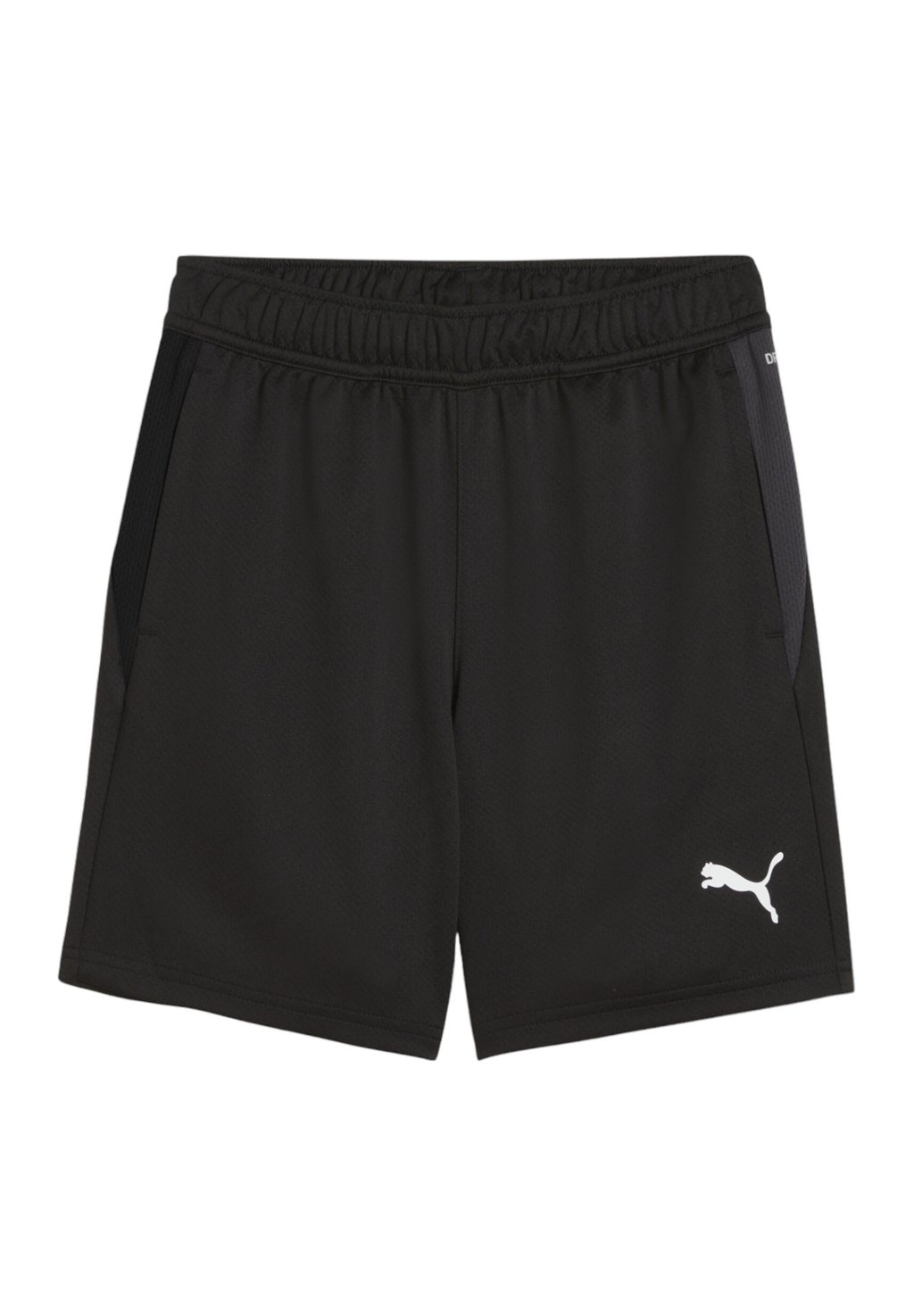 

Спортивные шорты TEAMSPORT TEAMGOAL Puma, черный