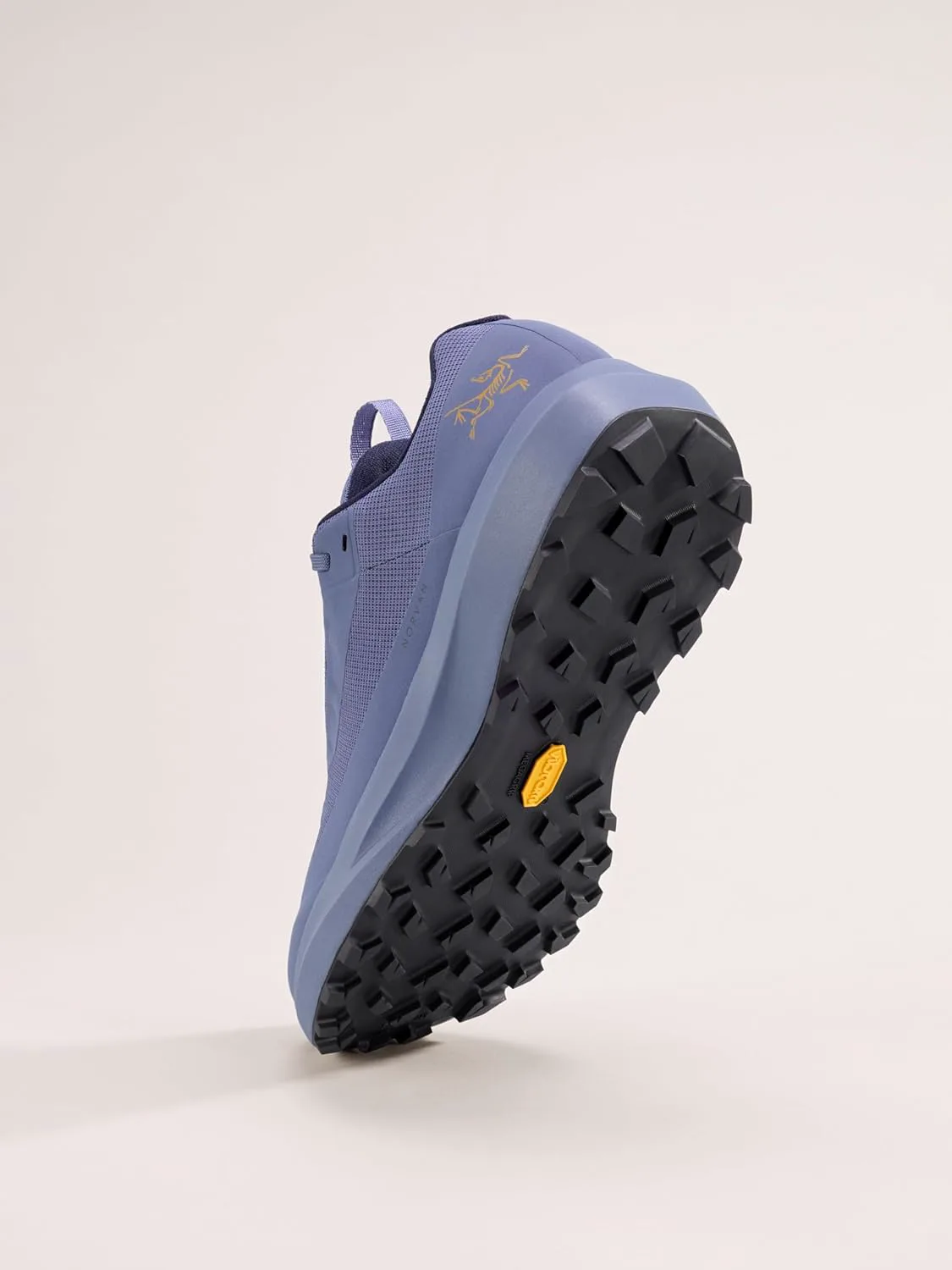 Мужские кроссовки Arc'teryx Norvan LD 4 GTX - Водонепроницаемые для трейлраннинга, предназначены для длительных пробежек в горах, черный — фото 4