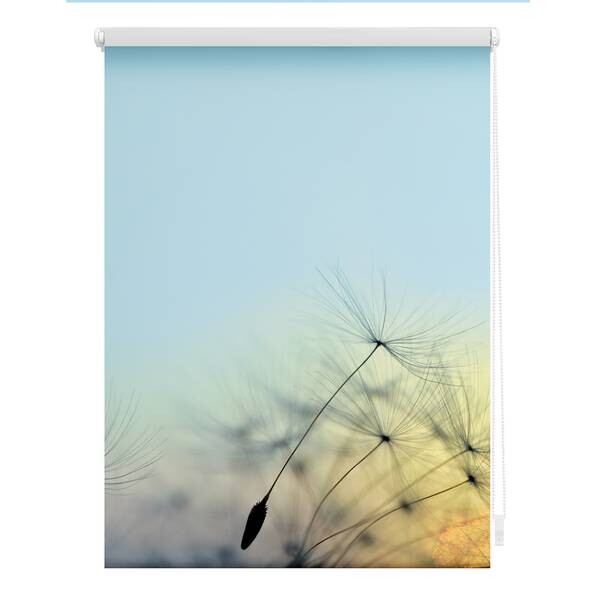 

Затемняющие рулонные шторы Lichtblick Pusteblume, 90x150x6 см, синий