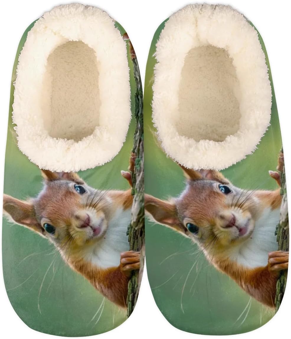 

Домашние тапочки для женщин и мужчин, мягкие пушистые уютные тапочки-носки с нескользящей подошвой для дома и улицы Yppahhhh, Squirrel