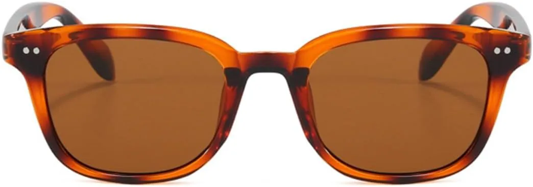 

Солнцезащитные очки с защитой UV400 | Маленькие заклепки, цветные линзы | Для женщин и мужчин, для занятий спортом на открытом воздухе и вождения DSVIGF, Black Gray