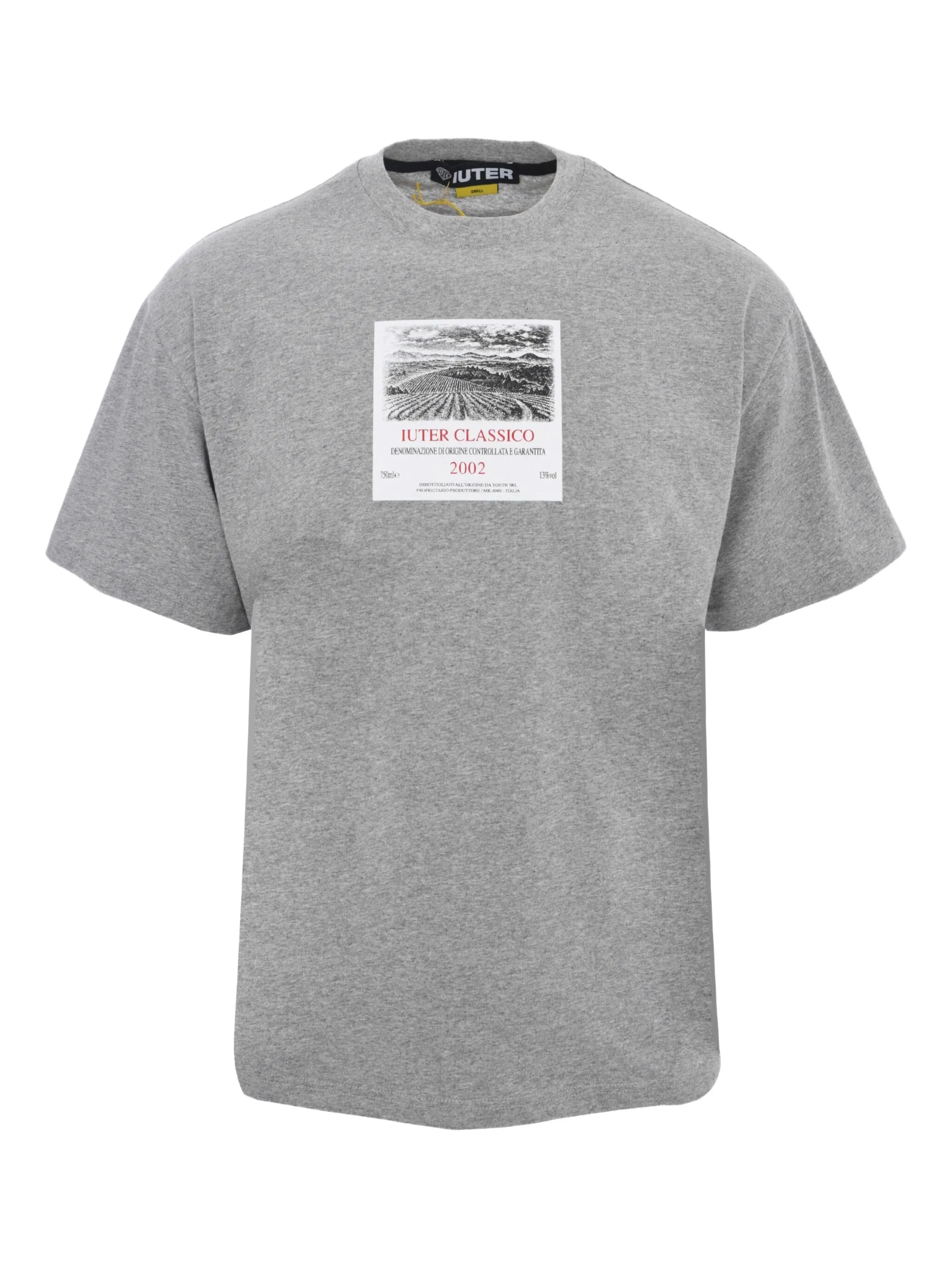 

Футболка оверсайз с графичным принтом Iuter, серый