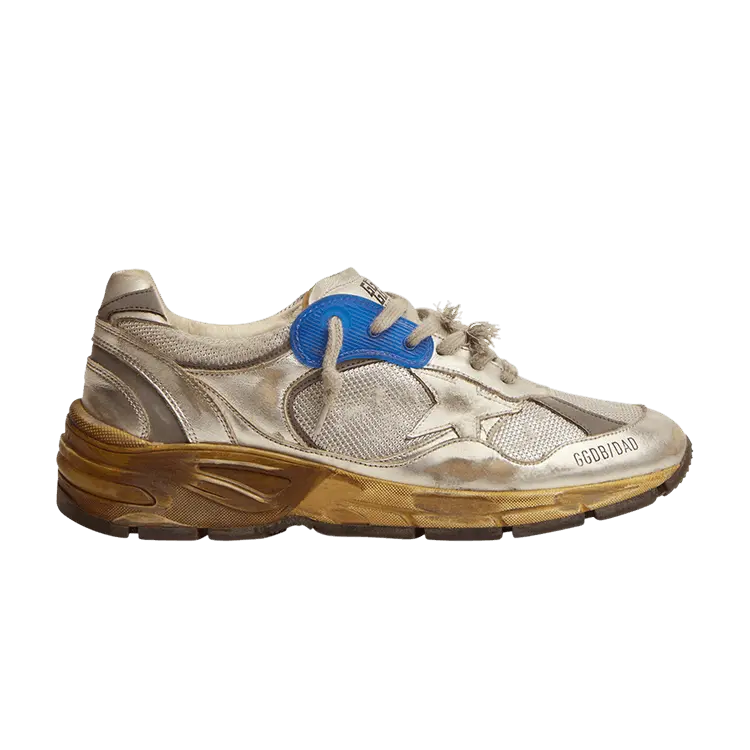 Кроссовки Golden Goose Wmns Dad-Star Silver Blue, серебряный