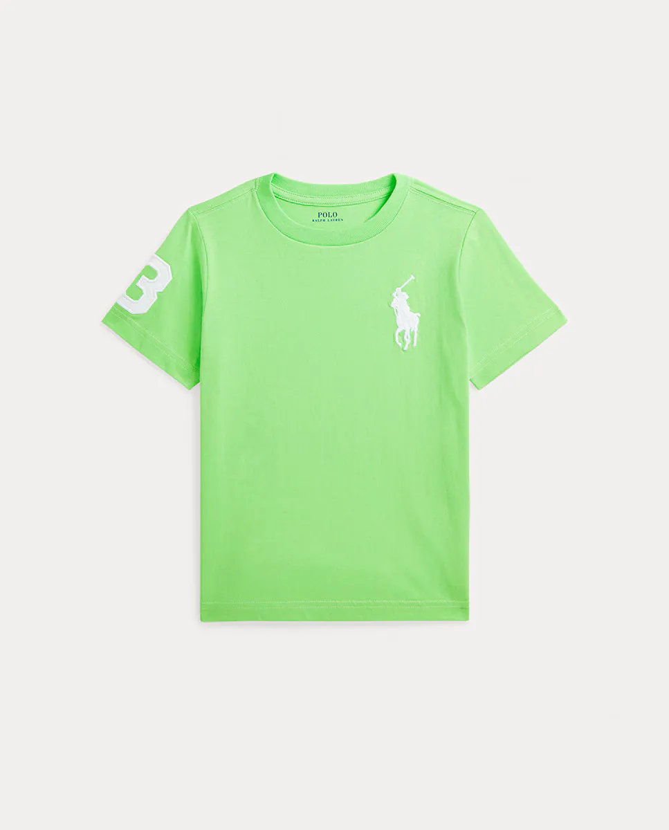 

Детская хлопковая футболка с Большим Пони Polo Ralph Lauren, зеленый