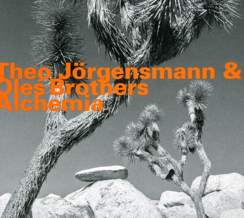 

CD диск Jorgensmann, Theo: Alchemia
