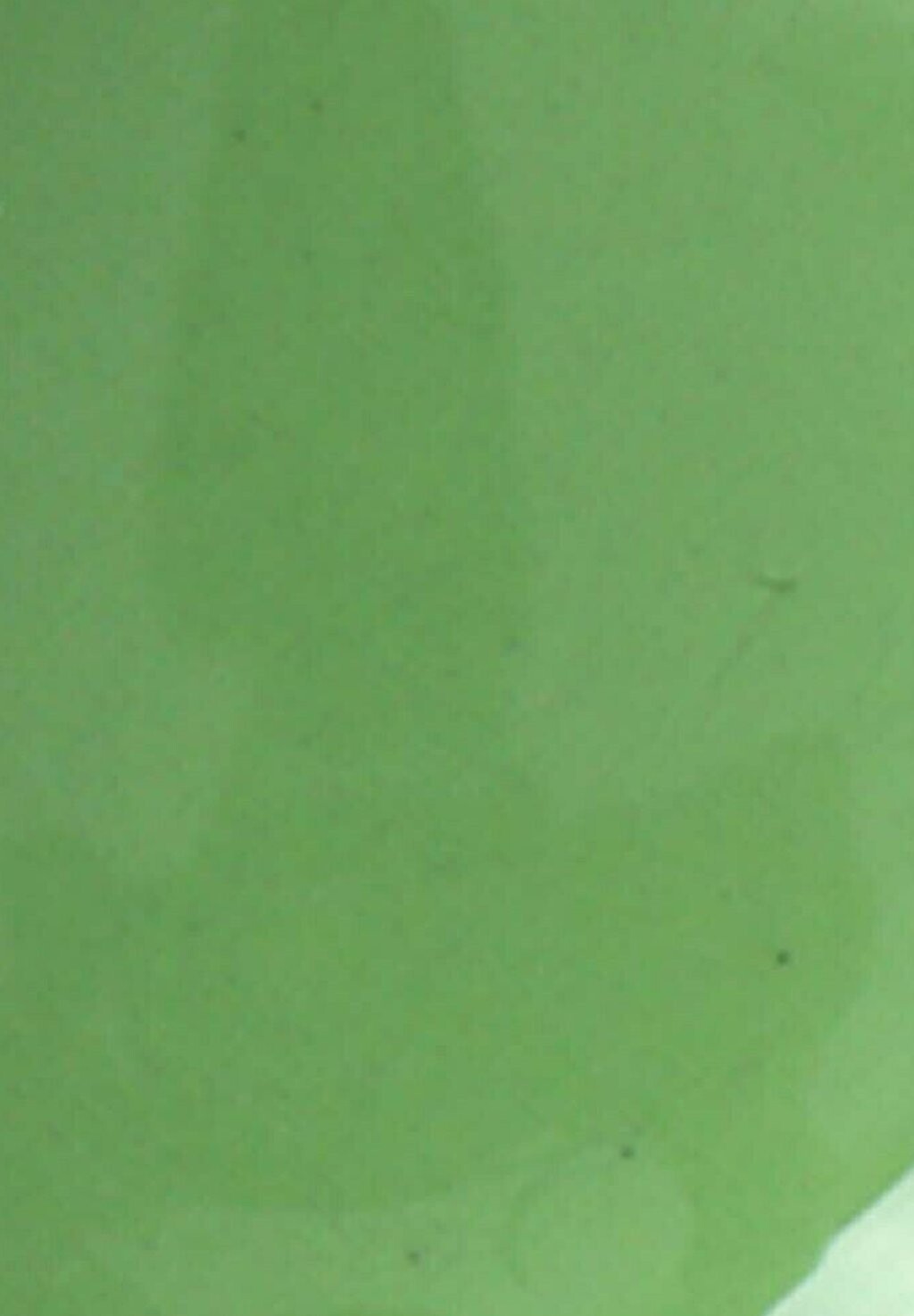 

Лак для ногтей LAUED CACTUS Vargu, зеленый