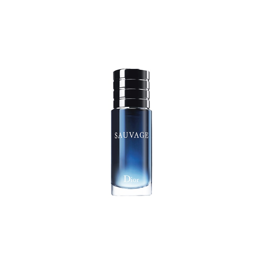 

Wilderness Classic Version мужские духи Woody Fougere аромат Eau De Toilette 30ml/60ml/100ml/200ml DIOR