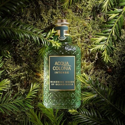 Acqua Colonia Intense Wakening Woods Of Scandinavia Eau De Cologne 50ml — фото 3