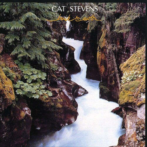 

CD диск Stevens, Cat: Back to Earth