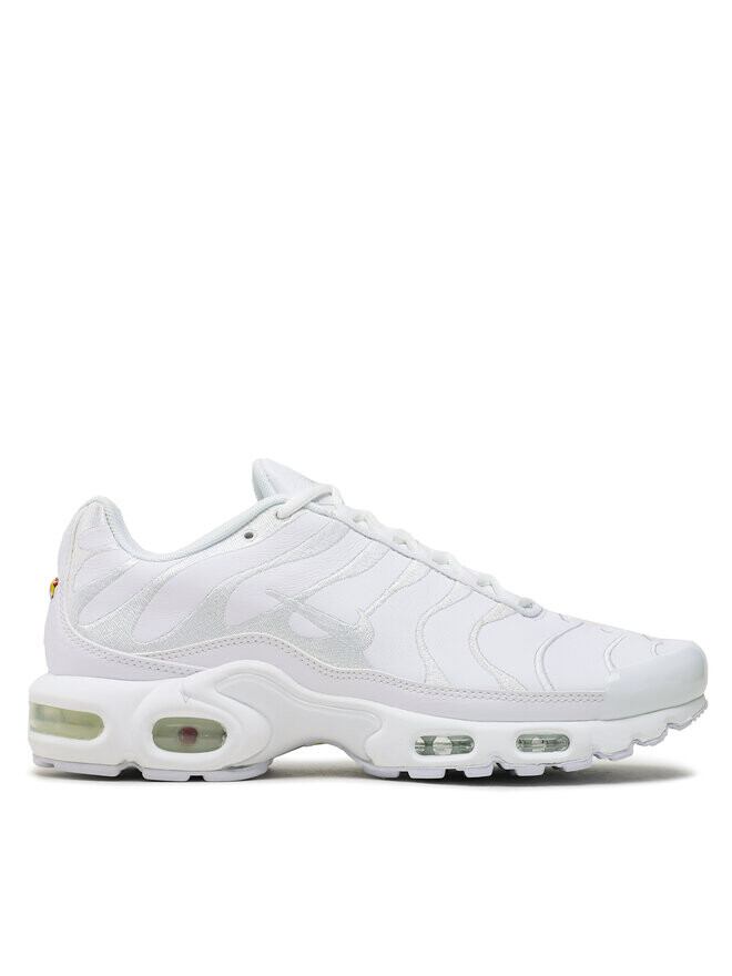 

Кроссовки Nike Air Max Plus AJ2029, белый