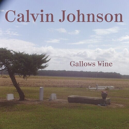 

Виниловая пластинка Johnson, Calvin - Gallows Wine