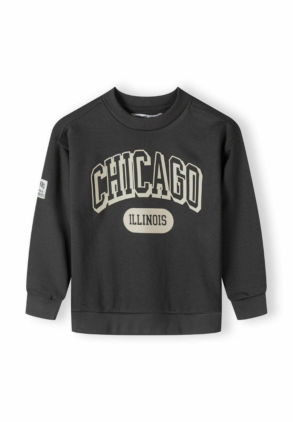 

Толстовка RIBBED CREW NECK MINOTI, цвет Gunmetal