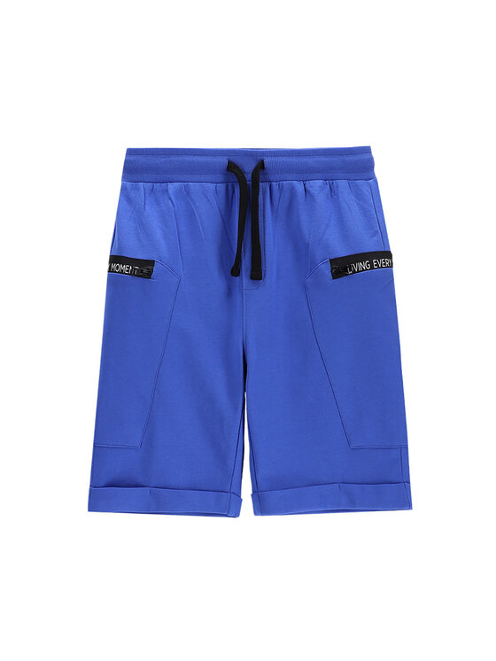 

Спортивные шорты regular fit WC5120501IBJ Coccodrillo, синий