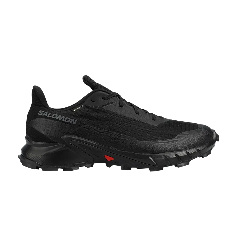 

Кроссовки Alphacross 5 GORE-TEX Salomon, черный