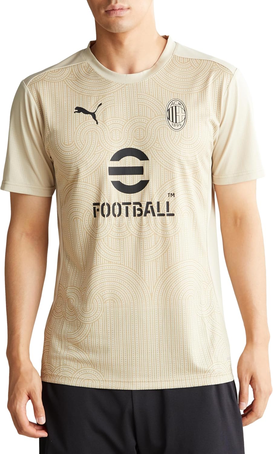 

Мужская спортивная футболка Puma 777712 ACM Prematch SS, цвет Patties/Prairie Tan (19)