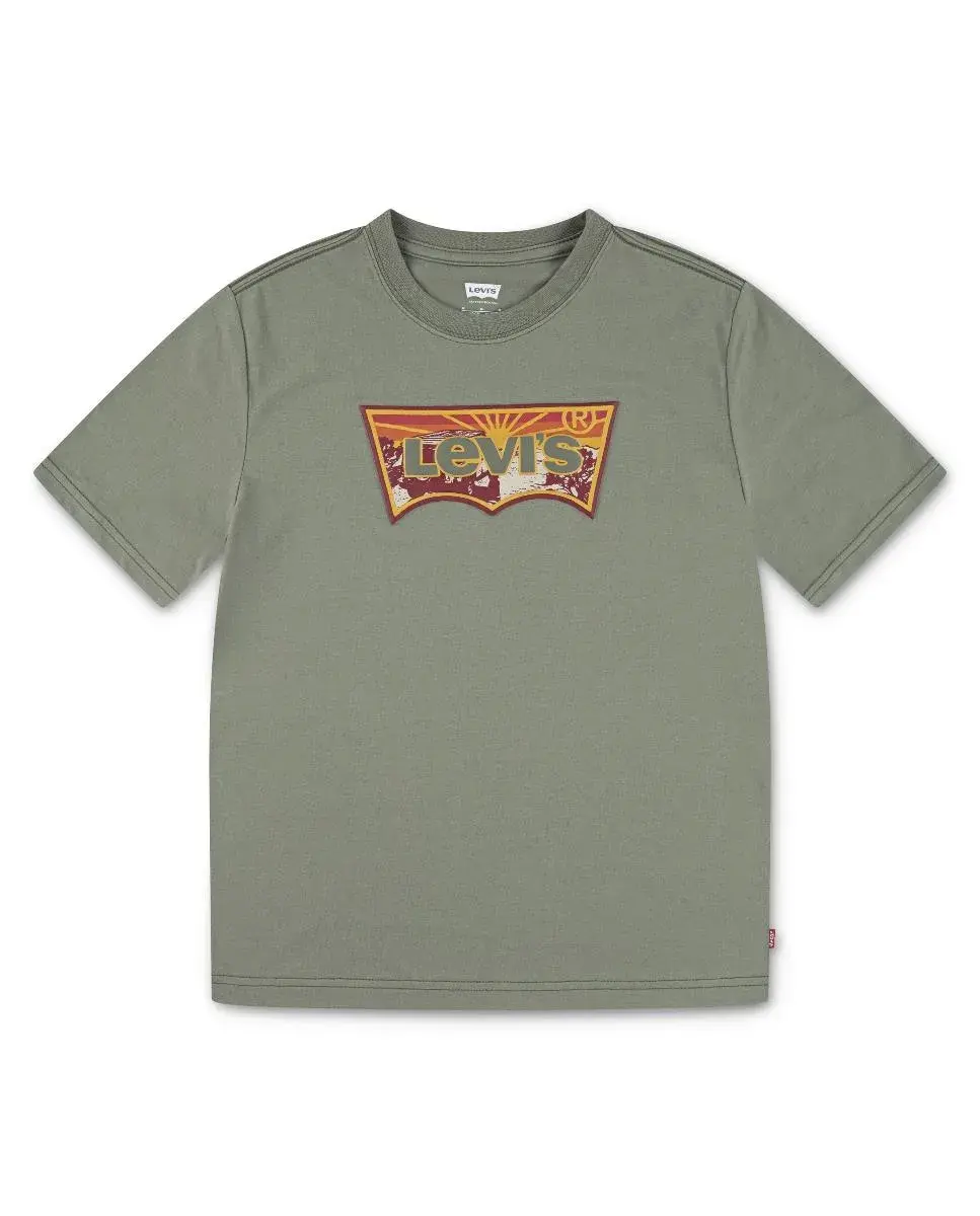 

Футболка Sunrise Desert Batwing для мальчика Levi's, зеленый