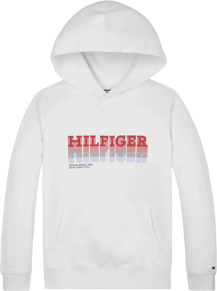 

Толстовка Tommy Hilfiger "FADE HILFIGER HOODIE", дети до 16 лет, белый