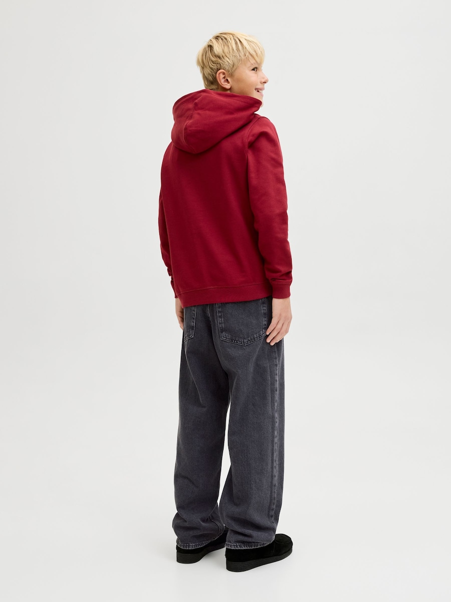 Обычные джинсы Jack & Jones Junior JJIALEX JJCLASSIC SQ 137 JNR, черный — фото 4