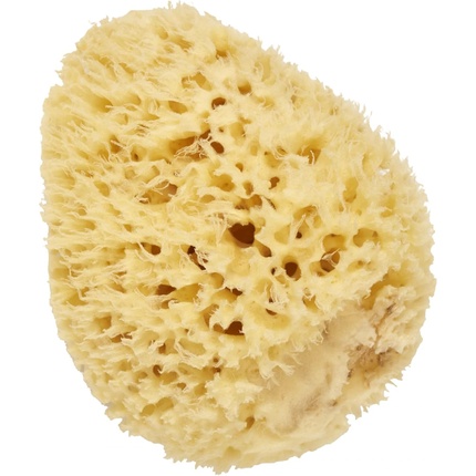 

Cartel Natural Sea Sponge Vitry