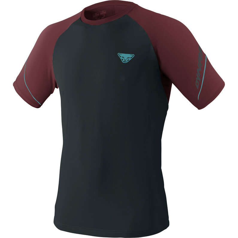 

Мужская футболка Alpine Pro Dynafit, синий