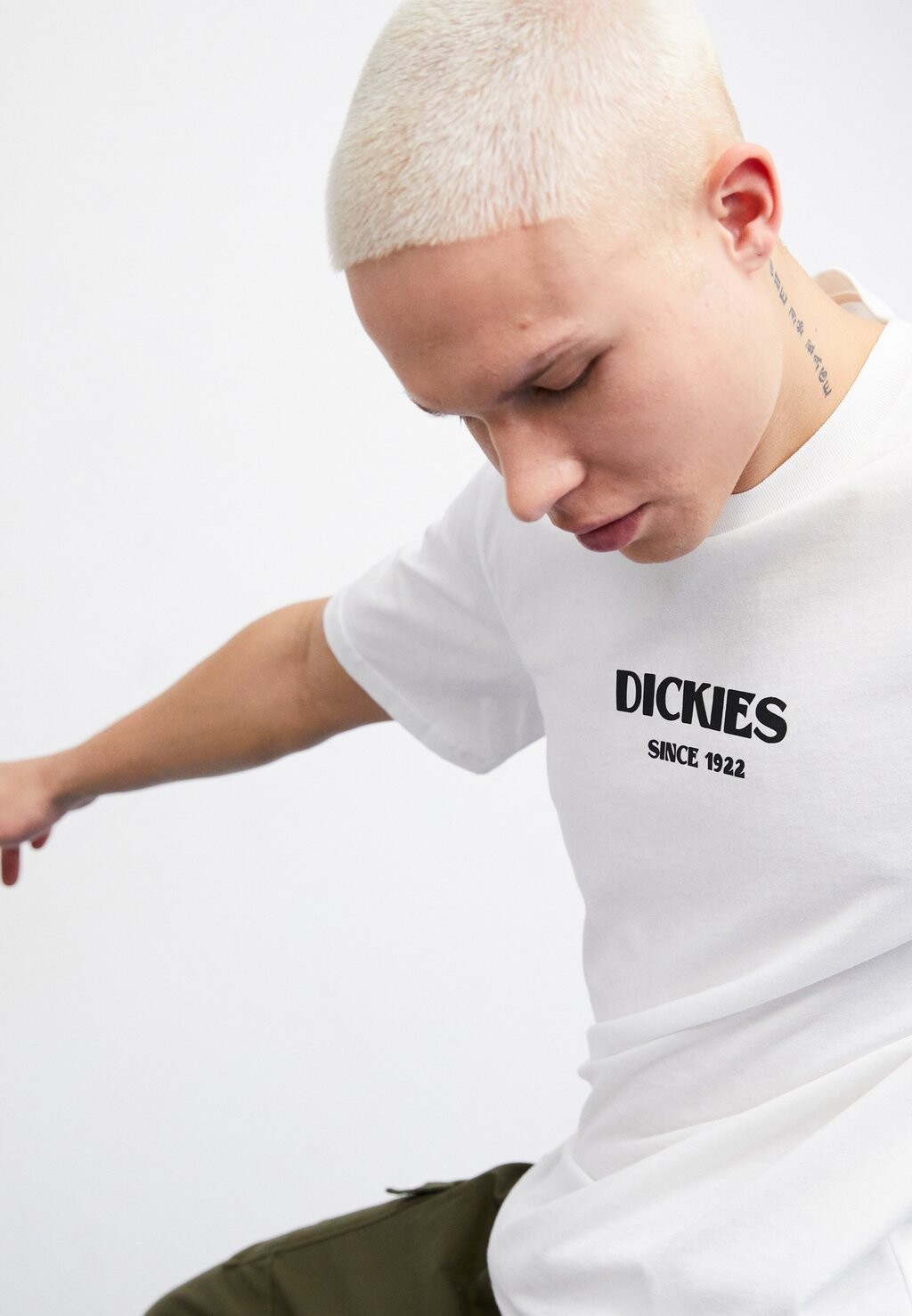 

Футболка с принтом MAX MEADOWS TEE Dickies, цвет white