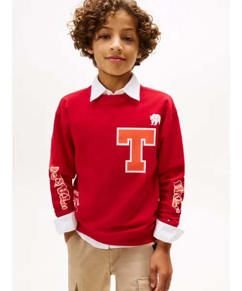 

Лагерная толстовка Regular fit Tommy Hilfiger, красный
