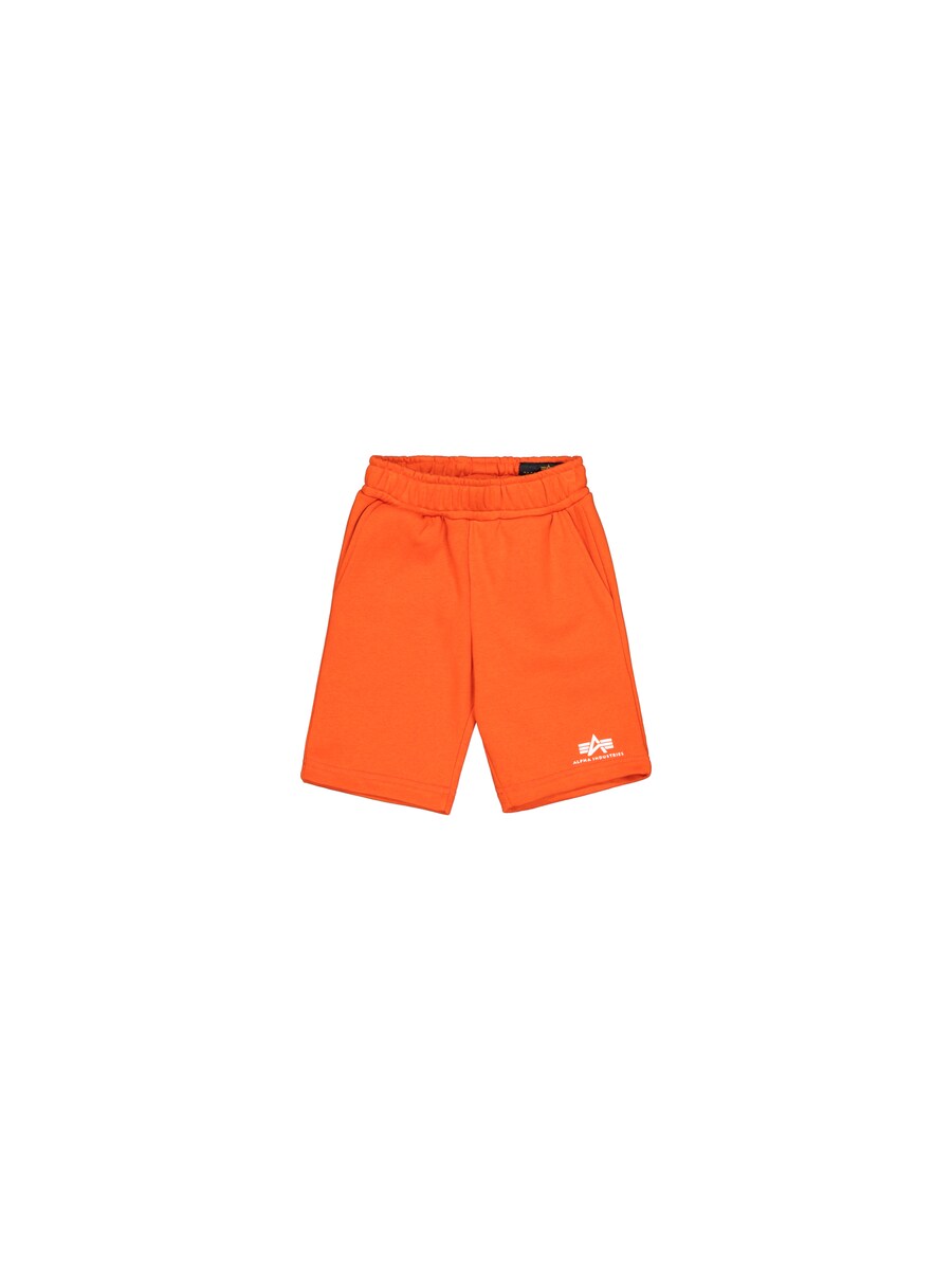 

Обычные брюки ALPHA INDUSTRIES, оранжевый