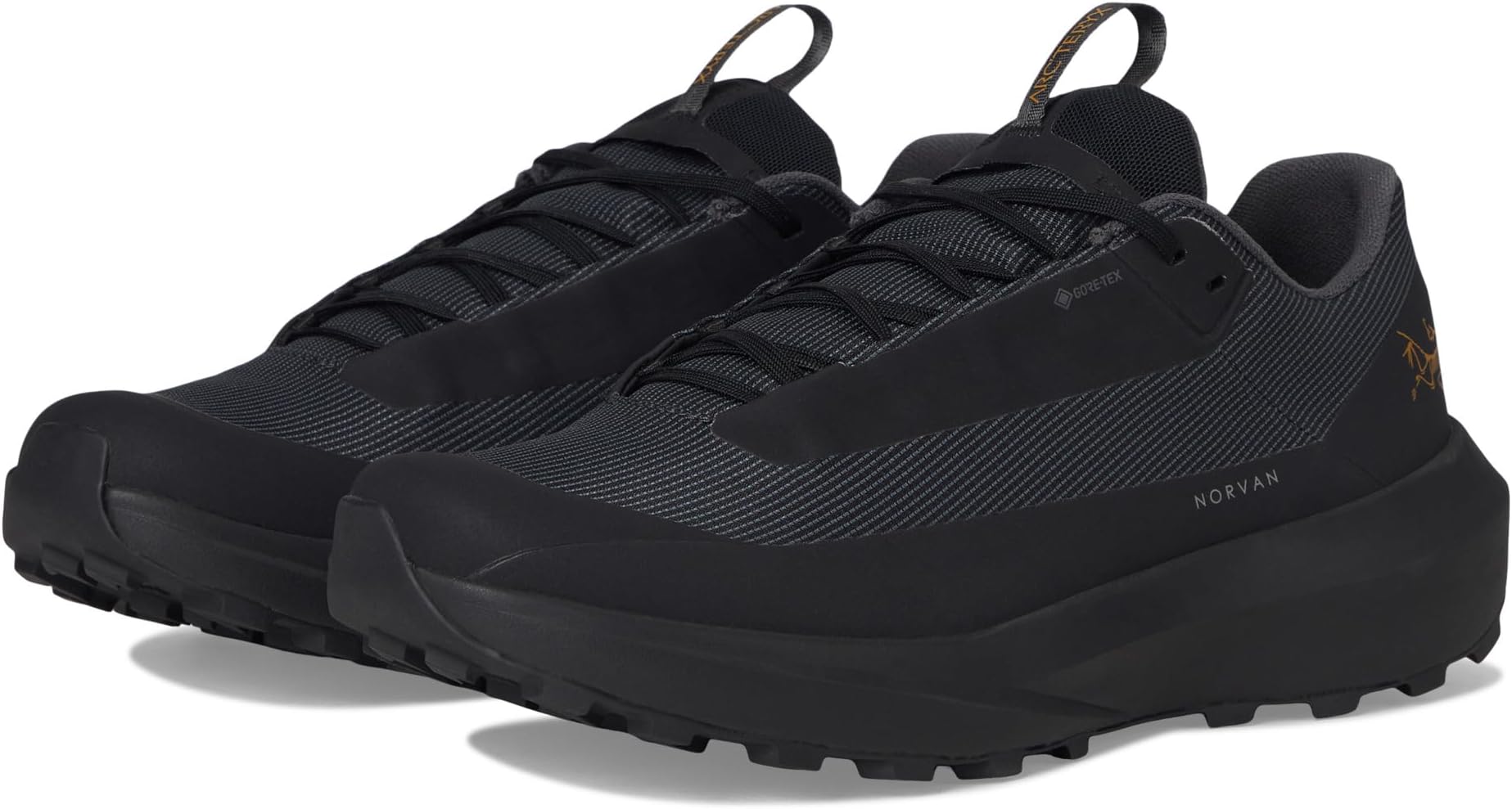 Кроссовки Arc'teryx Norvan LD 4 GTX, Black/Black