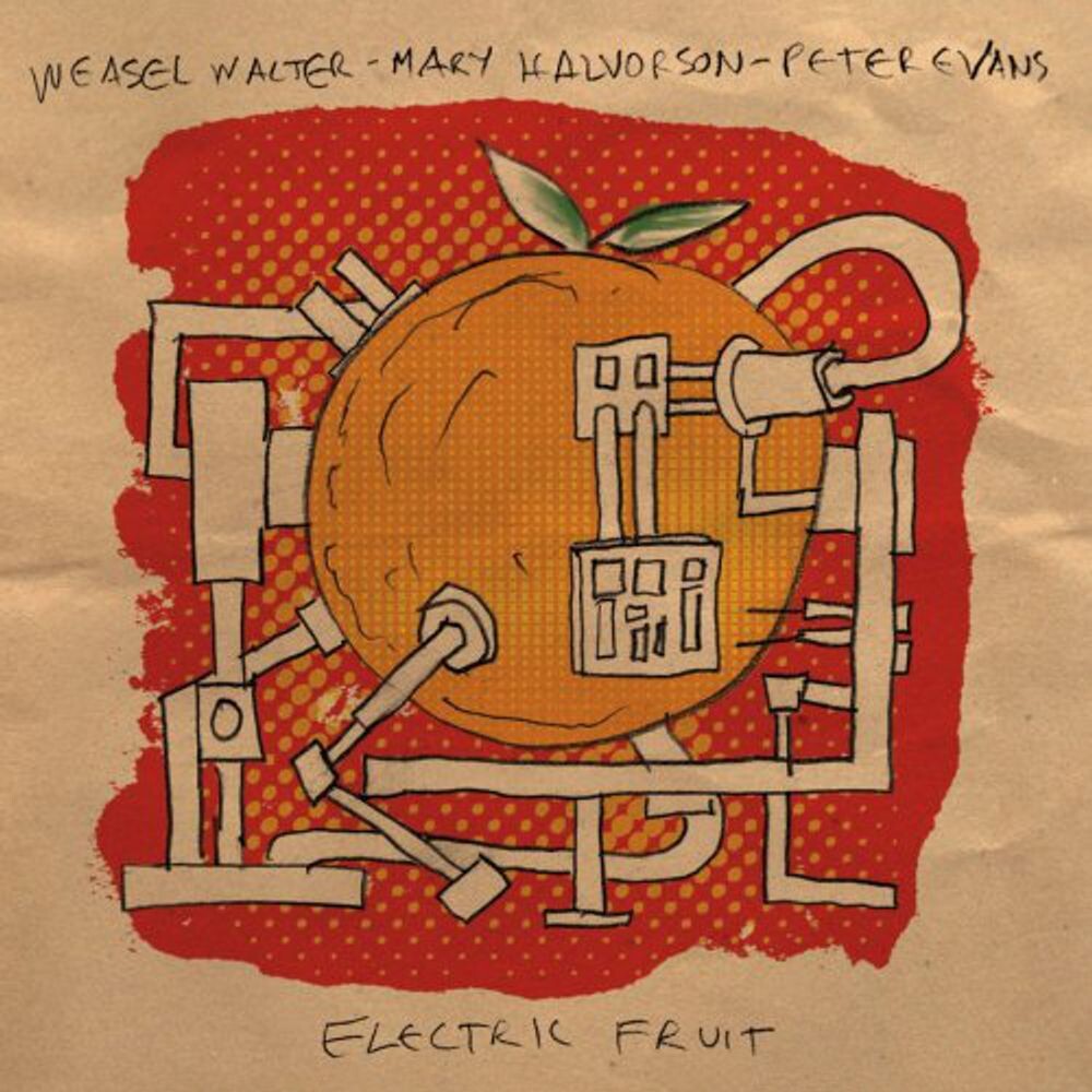 

Диск CD Electric Fruit - Weasel Walter, Mary Halvorson, Peter Evans