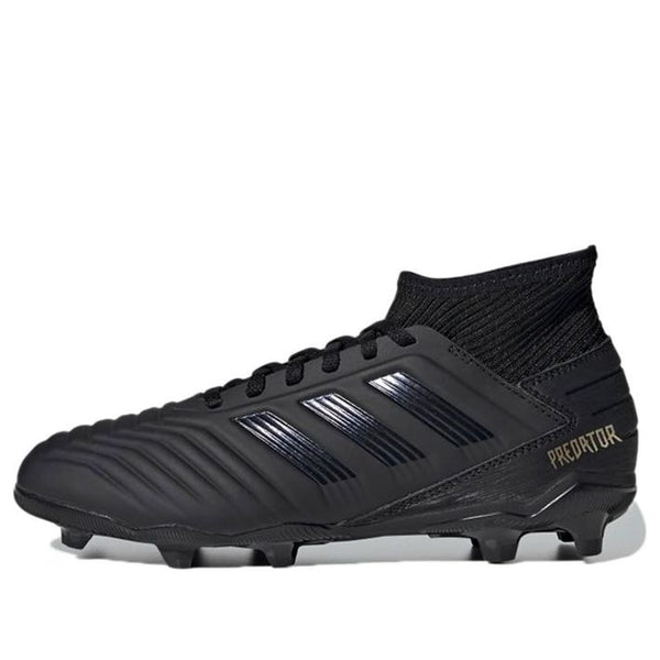 

Кроссовки Predator 19.3 firm ground boots j soccer boots black Adidas, черный