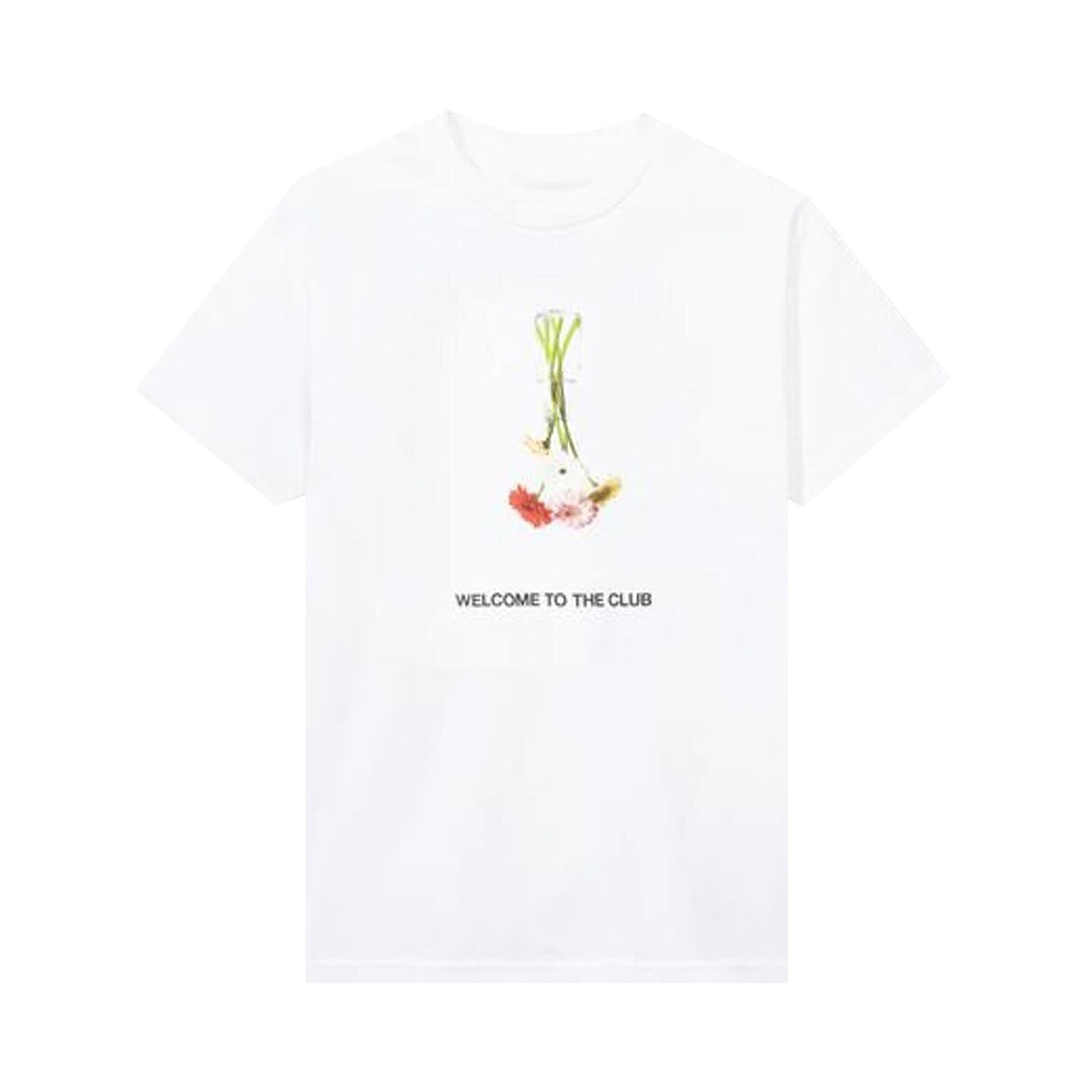 

Футболка Anti Social Social Club Hello Goodbye, Белая, Белый, Футболка Anti Social Social Club Hello Goodbye, Белая