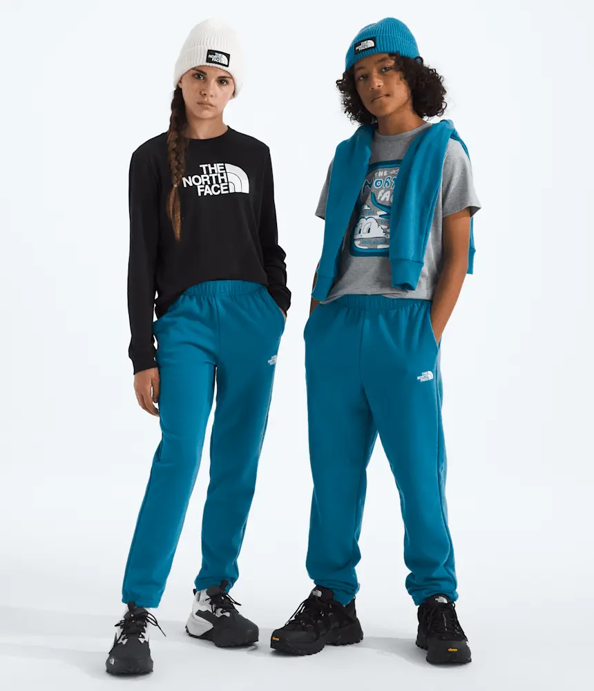 

Брюки Evolution Simple Dome для мальчиков и девочек The North Face, Dusk Blue