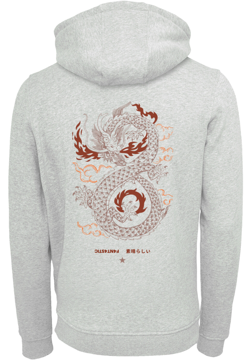 

Пуловер F4NT4STIC Hoodie Dragon fire, цвет grau meliert