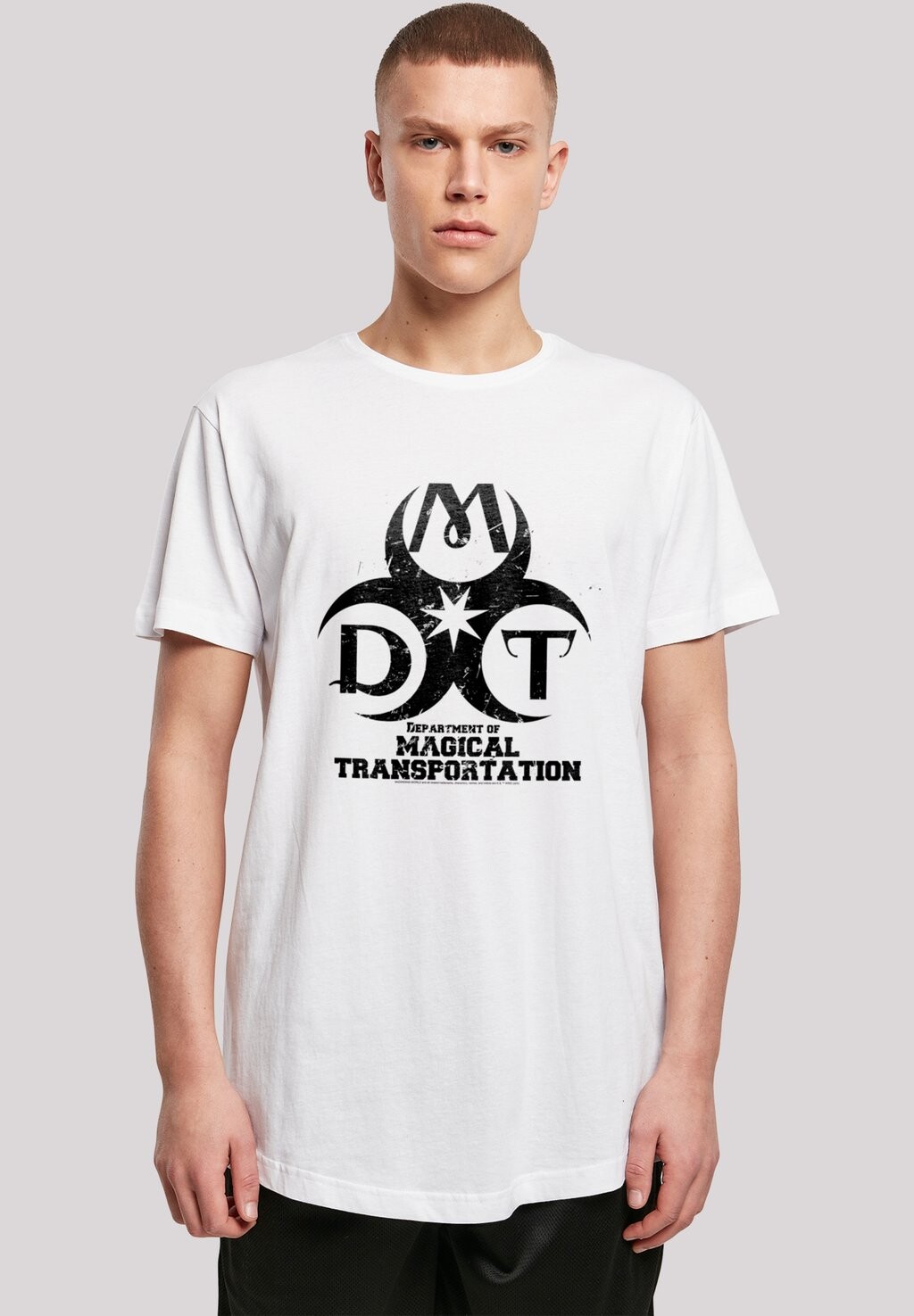 

Футболка с принтом HARRY POTTER DEPARTMENT OF MAGICAL TRANSPORTATION LOGO F4NT4STIC, белый