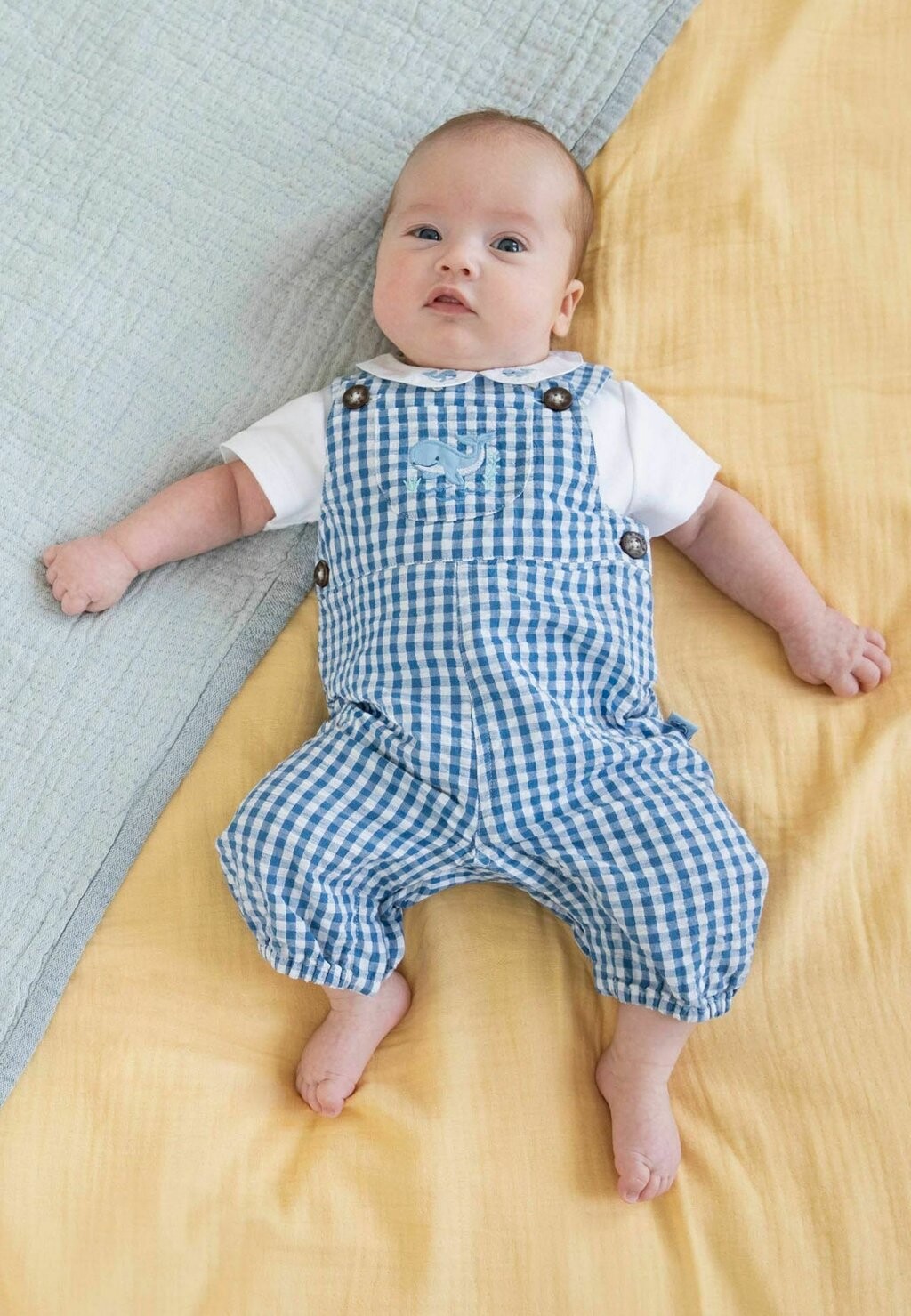 

Базовая футболка 2-PIECE WHALE EMBROIDERED JoJo Maman Bébé, цвет navy