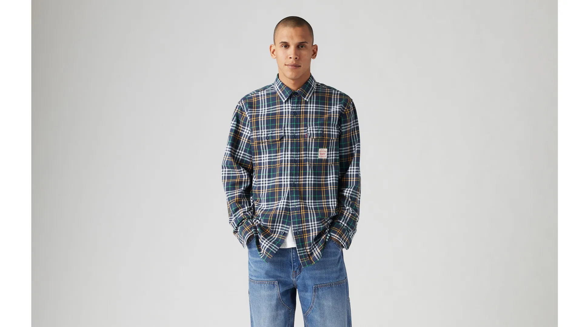 

Классическая рабочая рубашка Levi's, мультиколор