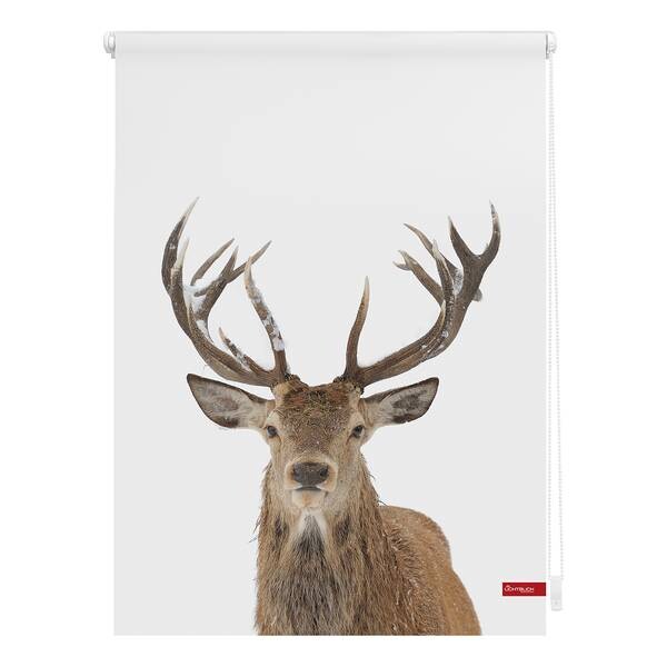 

Рулонные шторы Lichtblick Hirsch, 80x150x6 см цвет weiß/braun