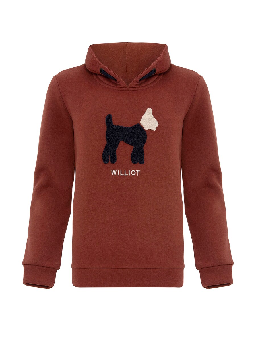 

Толстовка Williot, цвет Brown/Dark brown