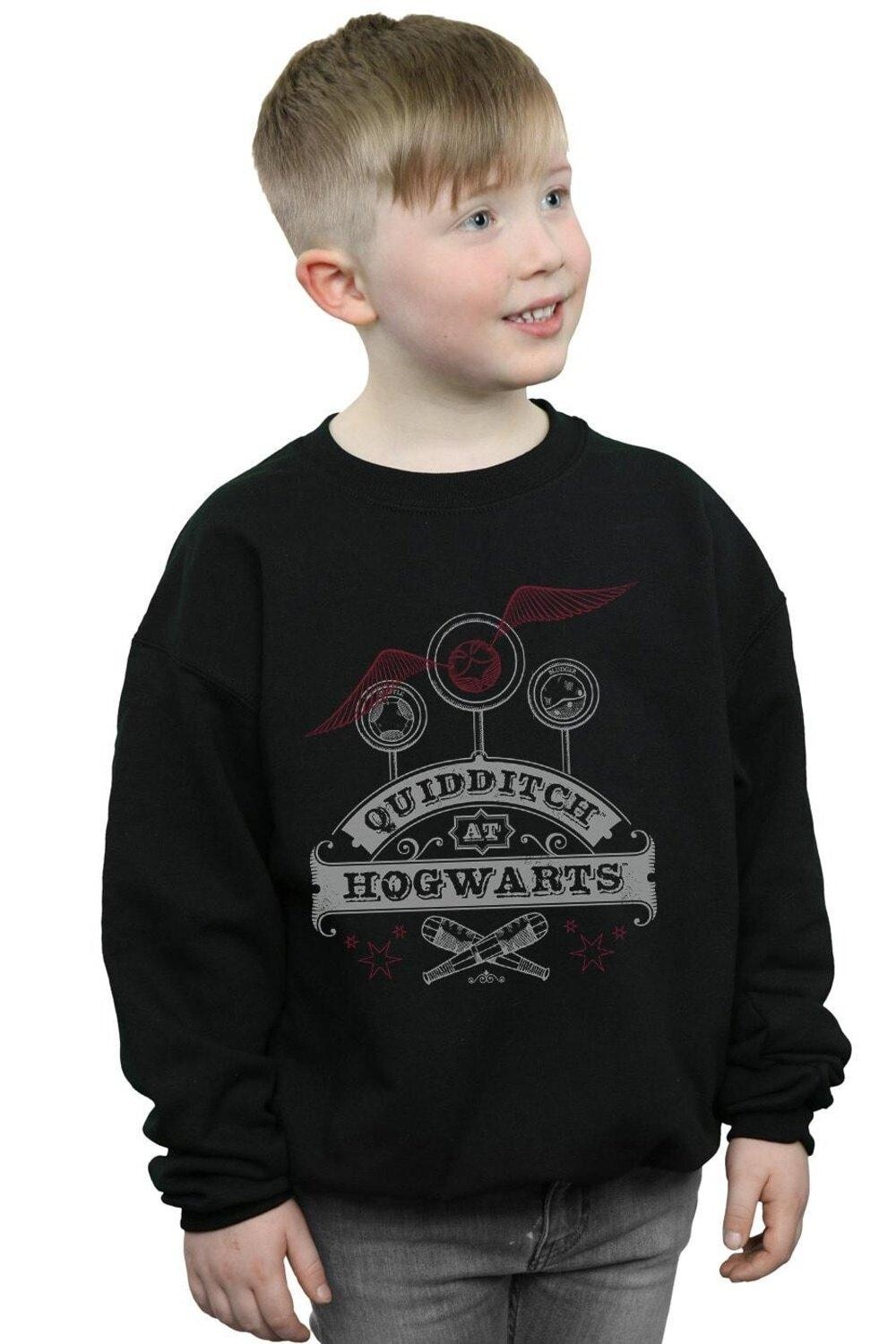 

Толстовка для квиддича в Хогвартсе Harry Potter, черный