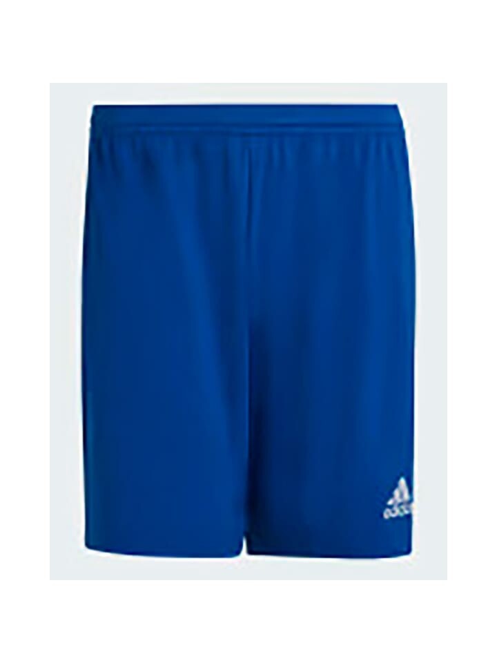 

Тканевые шорты adidas Shorts, синий