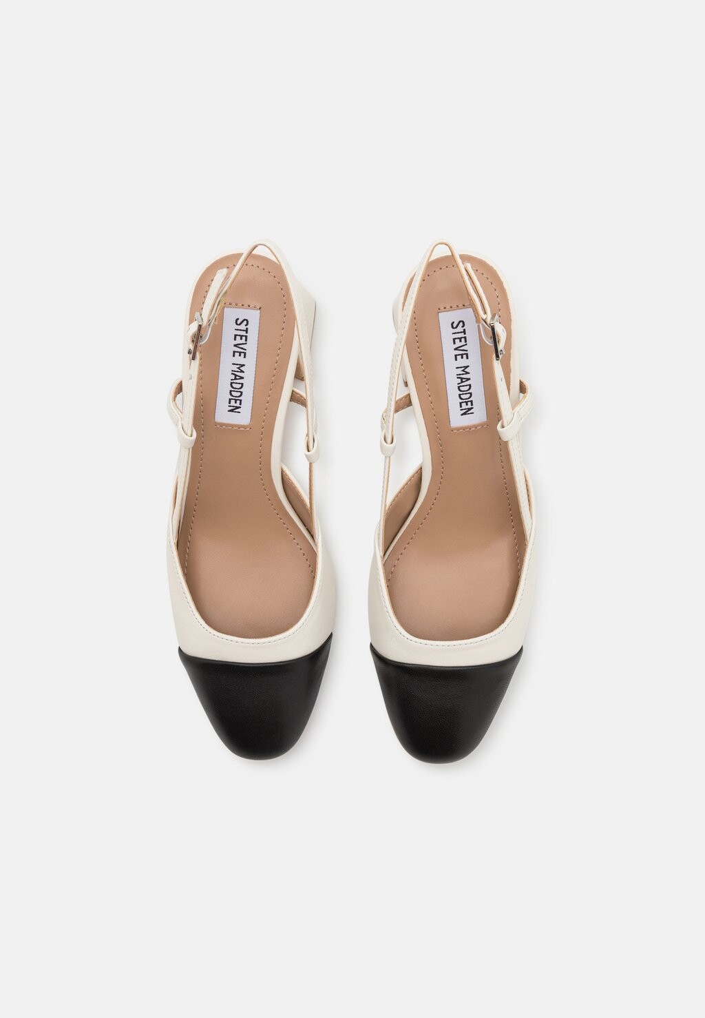 Туфли ZEINA Steve Madden, черный — фото 3