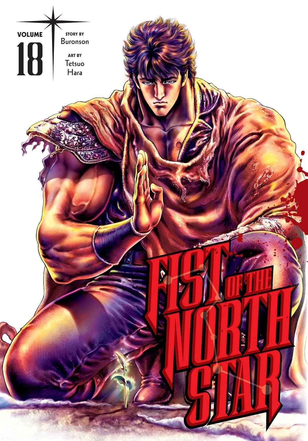 

Fist of the North Star, Vol. 18 (VIZ Media LLC)