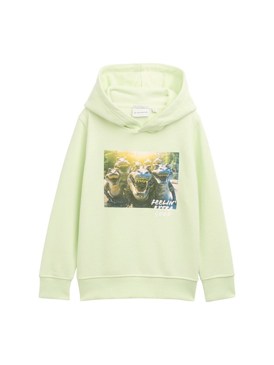 

Толстовка TOM TAILOR, цвет Lime/Pastel green