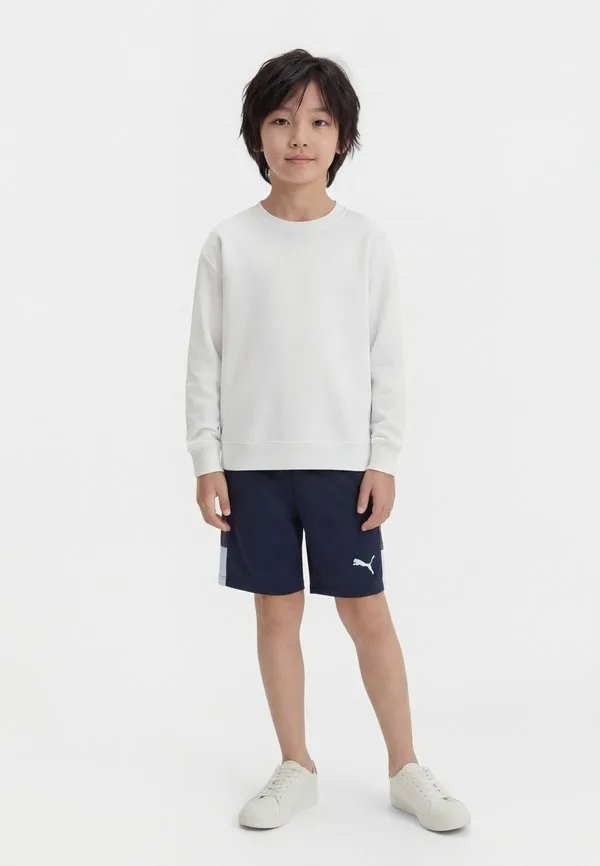 Спортивные шорты для тренировок по индивидуальной лиге Puma, Mineral Cobalt/Icy Blue/Strong Gray