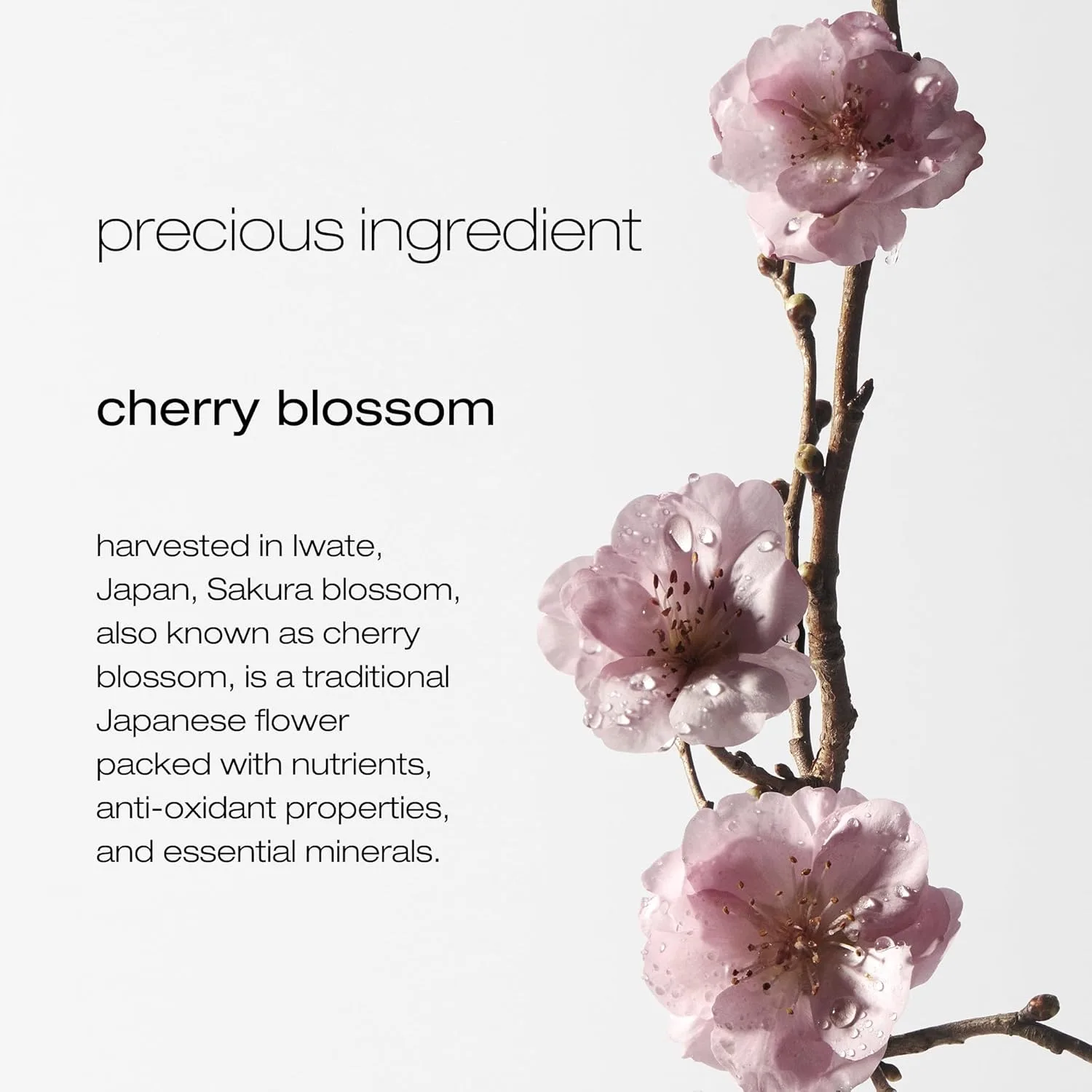 Shu Uemura Art of Hair Delicate Comfort Clarifying Shampoo - очищающий и смягчающий шампунь для сухой кожи головы и волос, 13,4 жидких унции. — фото 3